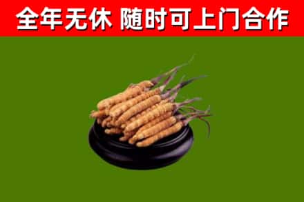 汕头市烟酒回收冬虫夏草.jpg