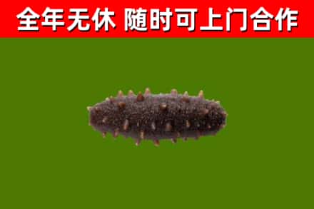 汕头市烟酒回收干海参.jpg